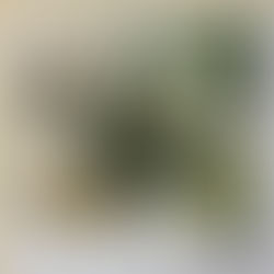 Poetic Justice x Kendrick Lamar ft. Drake