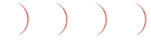 Lunar Phases pink NEW MOON.png