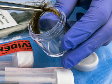 Sample of human hair in a collection tube prepared for Hair Tissue Mineral Analysis (HTMA) test