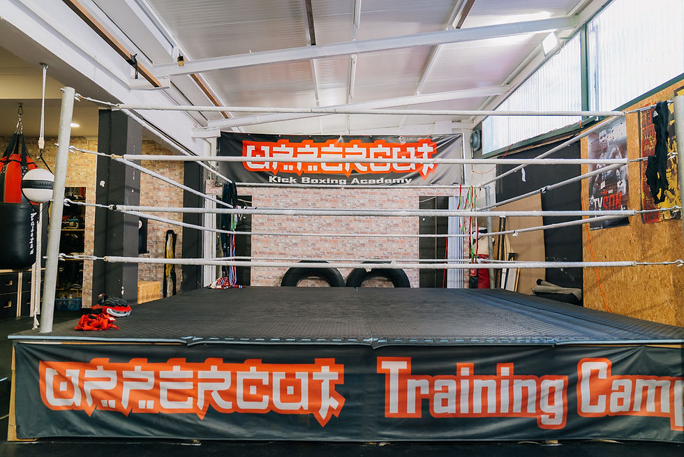 Uppercut Gym-4