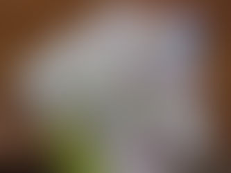 冬期講習会始まる