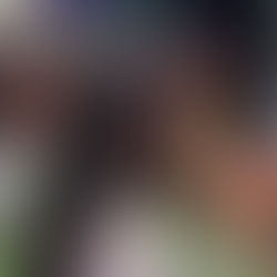 The Flame reprend le flambeau !