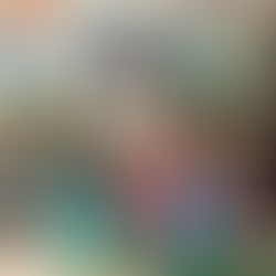 Dumas : les diplômés de la Copval