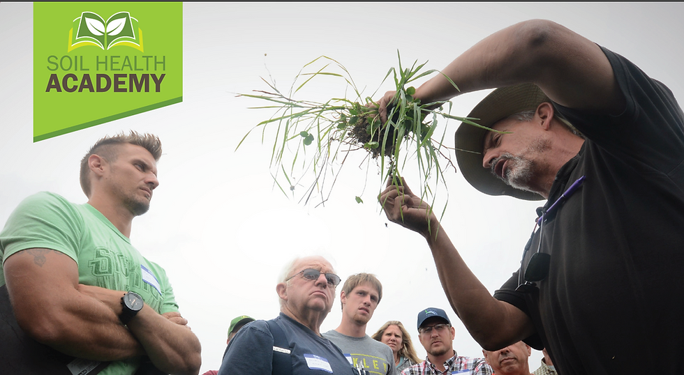 Increasing Profitability on Row Crop Farms