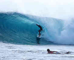 nusa lembongan, lembongan, lembongan island, lembongan bali, dream beach lembongan, dream beach nusa lembongan, nusa lembongan island, lembongan island bali, nusa lembongan things to do, nusa lembongan map, boat to nusa lembongan, bali nusa lembongan, nusa lembongan dream beach, lembongan traveller, how to get to nusa lembongan, mushroom bay nusa lembongan, nusa lembongan day trip, bali to nusa lembongan, things to do in nusa lembongan, nusa lembongan tips, boat to lembongan, what to do in nusa lembongan, nusa lembongan night life, best things on nusa lembongan, nusa lembongan villas, nusa lembongan resort, nusa lembongan restaurant