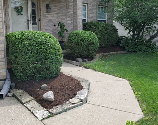 Mary K.
Lake In The Hills, IL