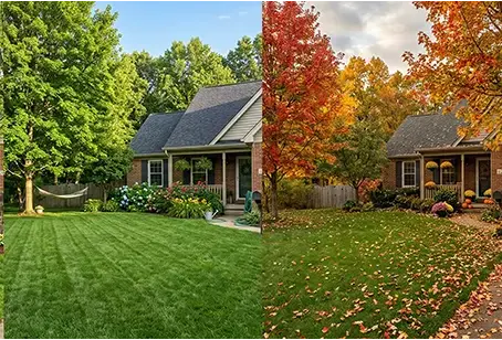 residential home through each season spring, summer, fall, winter