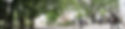 cropped-IMG_6130_01-1024x234.jpg
