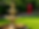 fountain Edit.png