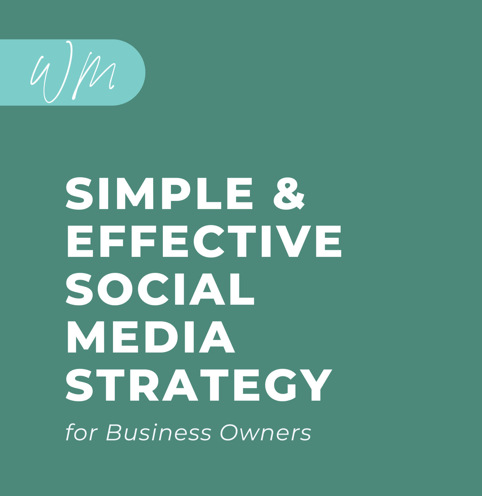 Social Media Strategy Guide