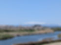 Kurko&Sakura_20260413.jpg