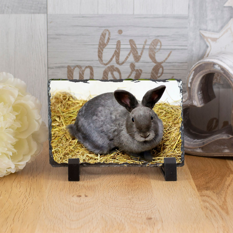 Thumbnail: Rectangle Photo Slate