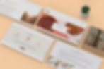 optimisation de site WordPress Bordeaux