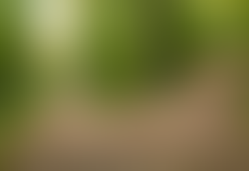 An Unusual Path to Architecture