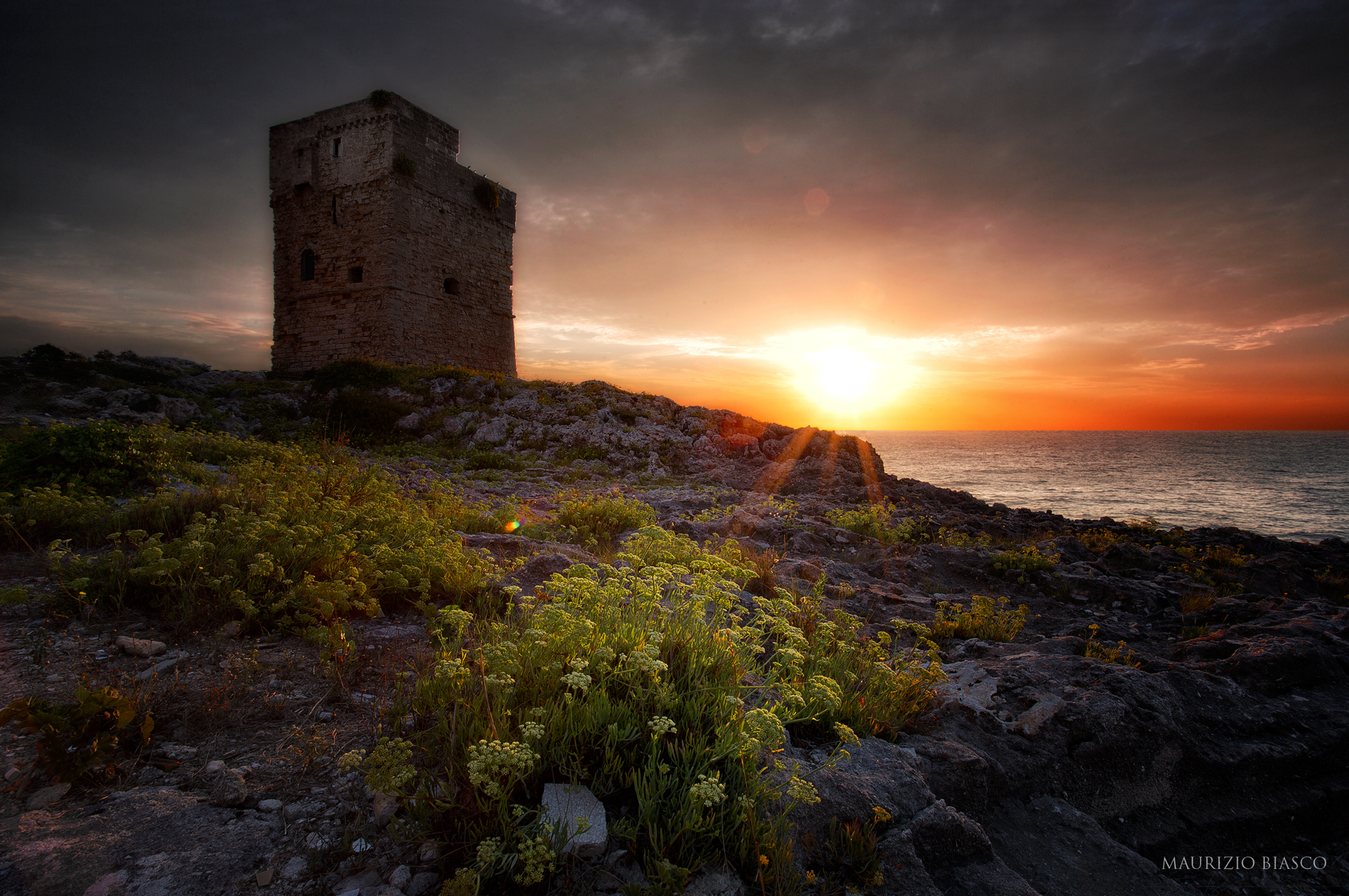 Torre palane