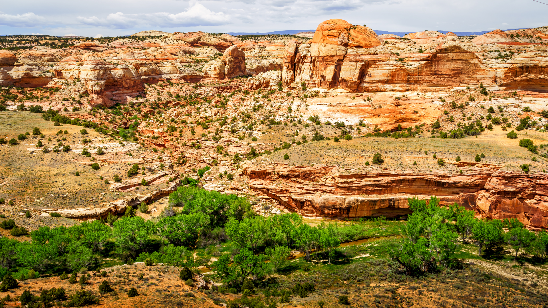 Dan Grider Photography Grand StaircaseEscalante, Utah