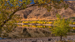 Topaz Lake Fall Color4