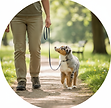 Heel cue photo icon (outdoor, different breed).png