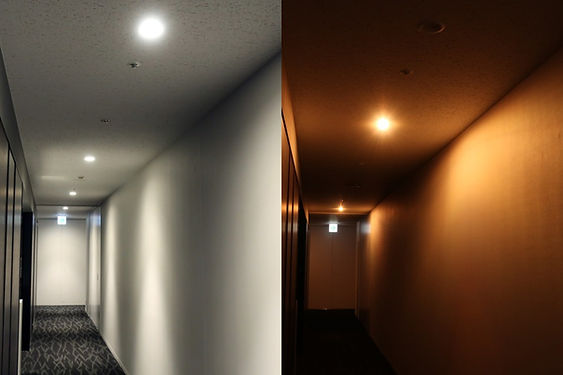 emergency-light-continue-working-2.jpg