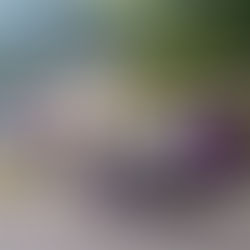 HOHCT, PCX Aerosystems to Provide No-Cost Home Repairs for Widow of Recently Deceased Vietnam Vet