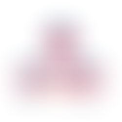 HOHCT to Feed Vets During COVID-19