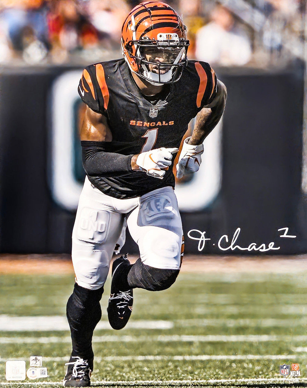 Ja'Marr Chase Signed Cincinnati Bengals 16x20 Photo