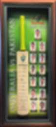 Thumbnail: Custom Designed - Elite Cricket Bat Cabinet - Graphic Design