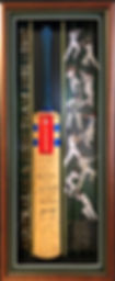 Thumbnail: Custom Designed - Elite Cricket Bat Cabinet - Graphic Design