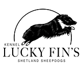 Skärmavbild 2025-09-12 kl. 16.01.56.png