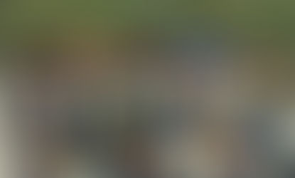 Gran invitado en la cat. 2004: PUMAS REV.