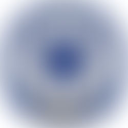 Rayados Concordia Mezquital, ¡Bienvenidos!