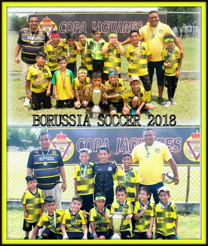 Borussia Soccer 2007
