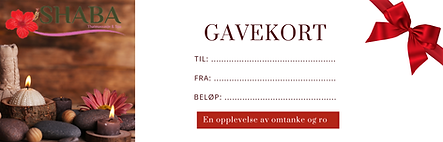 gavakort 2025 (1).png