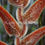 Miniatura: Heliconia vellerigera 'Root Beer'