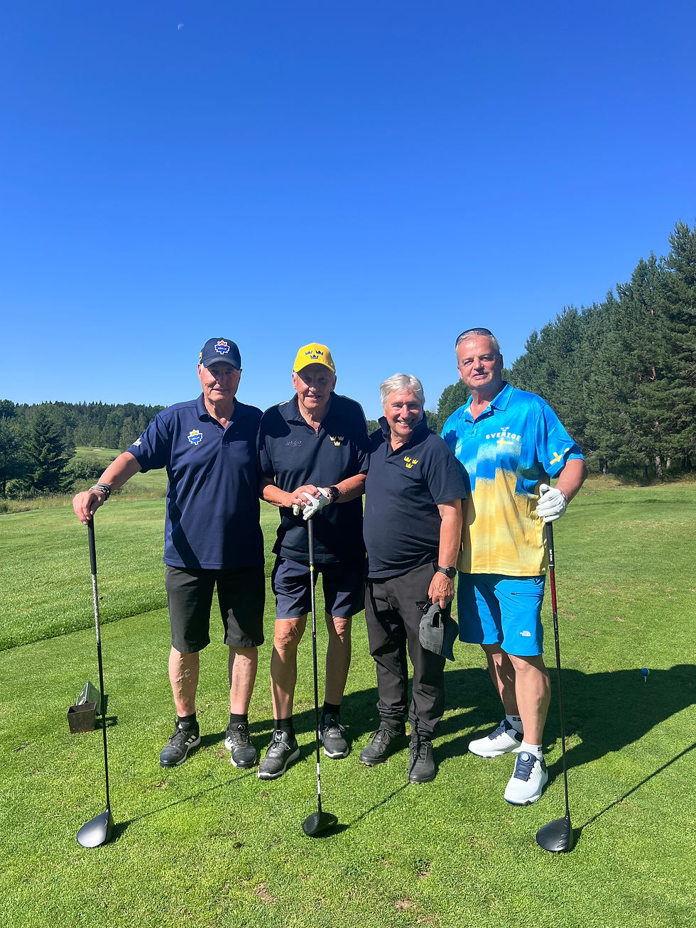 Surahammars gk surapelles minne tre kronor hockey