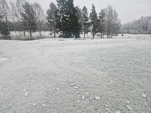 Under hösten har banarbetarna bland annat arbetat med att fräsa bort det övriga lagret på åtta Tee 57, p g a att de varit för ojämna. Nästa steg blir att lägga på ett nytt lager såbädd, vilket får ”ligga till sig” under vintern. När våren kommer skall de sås och vattnas. Under säsongen kommer de åter öppnas.