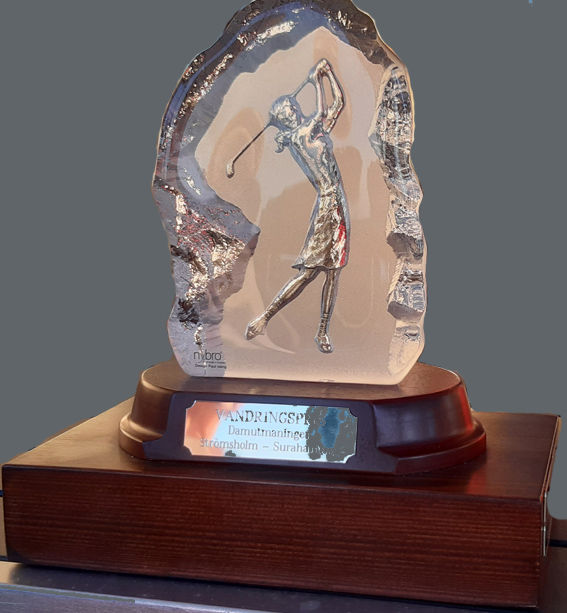 Fredag 22/8 har vi Strömsholmsmötet. Tio damer från Strömsholm och tio från Surahammar spelar om vandringspriset. Första start 10.50. När alla kommit in äter vi något tillsammans och har prisutdelning. Förutom vandringspriset blir det även några individuella priser. Anmäl dig på mingolf.se glöm inte välja vilket tee du vill spela från.