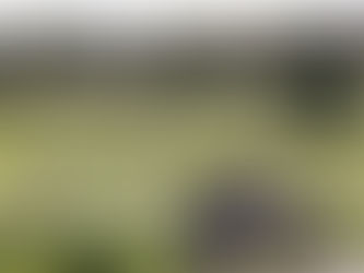 Storseger för damerna i seriespelet!