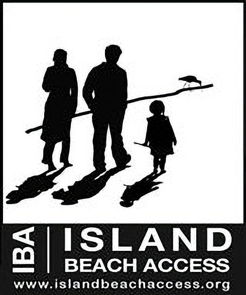banner_beach_web_edited_edited.jpg