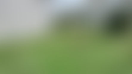 Plot in sector 21 Panchkula