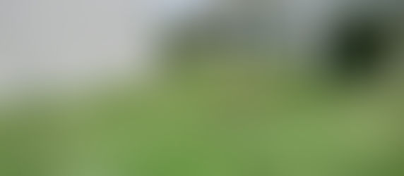 Plot in sector 21 Panchkula