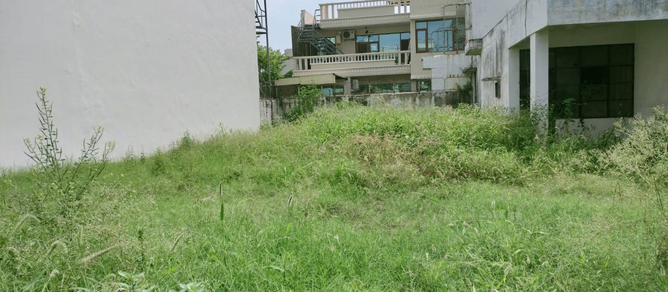 Plot in sector 21 Panchkula