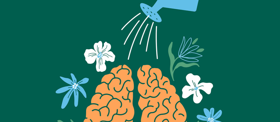 The Power of Mindfulness: A Guide for Students