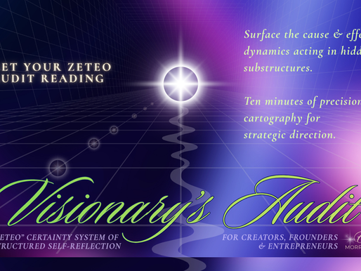 The Visionary's Audit Guide
