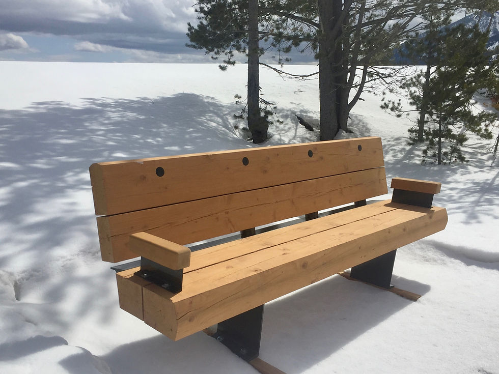 9' bench w/ handrails