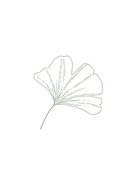 LOGO INTERNET_edited_edited_edited.png