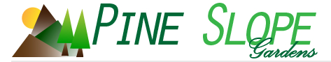 Pine Slope