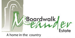 Boardwalk Meander