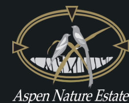 Aspen Nature