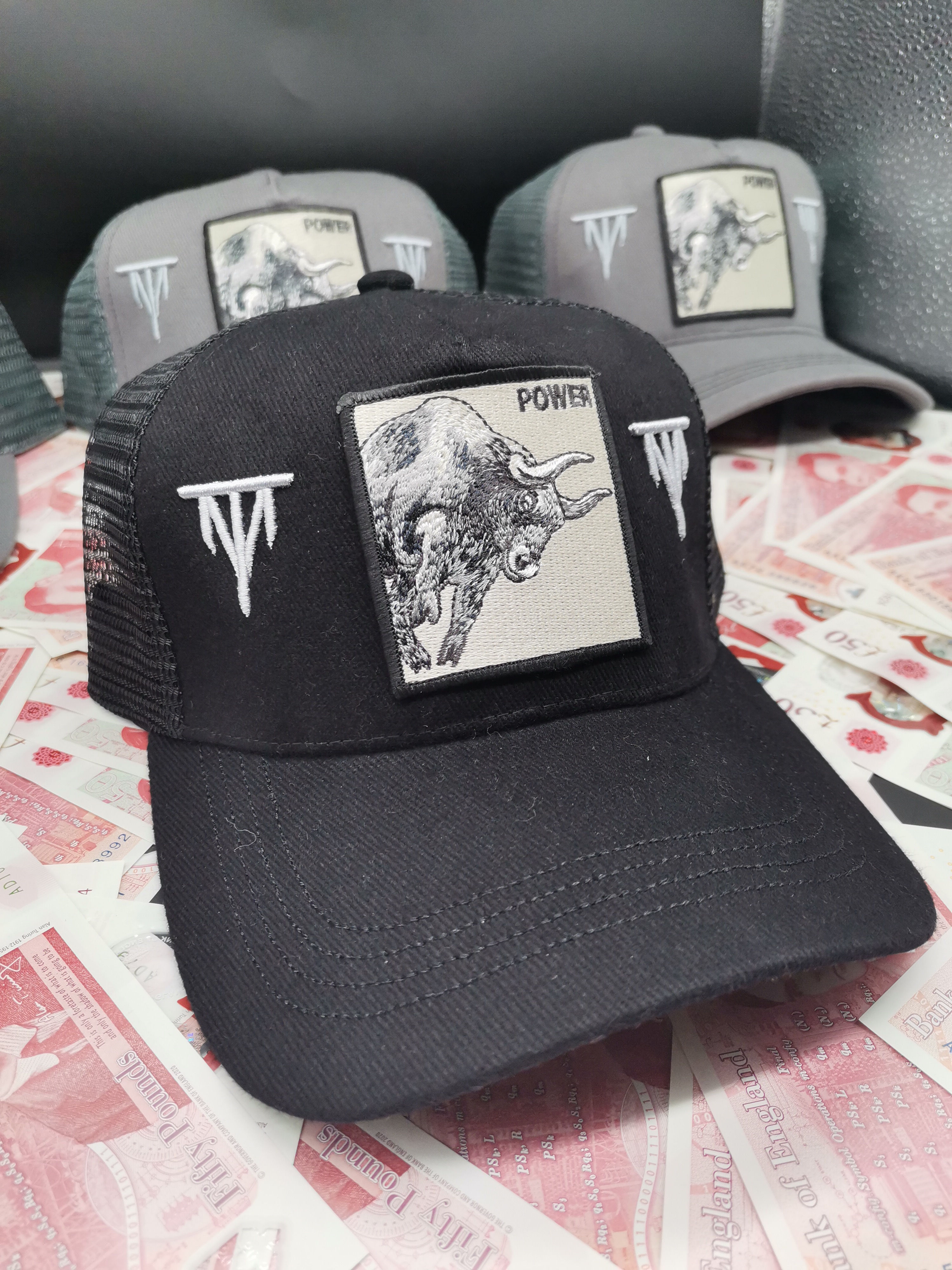 Taurus Snapback